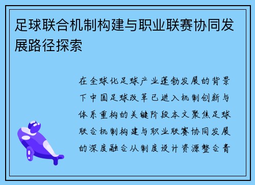 足球联合机制构建与职业联赛协同发展路径探索