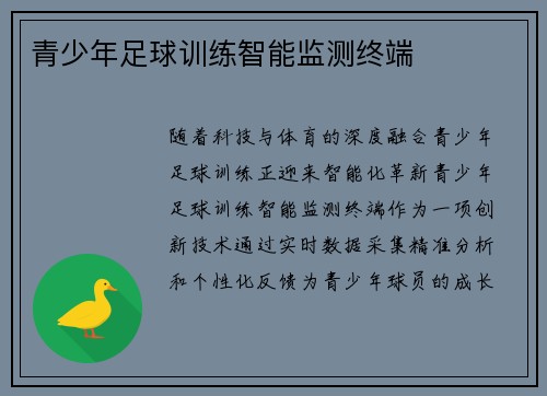 青少年足球训练智能监测终端